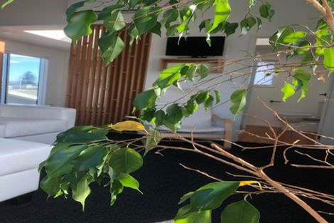 Photo of property in 21a Ferguson Avenue, Westshore, Napier, 4110