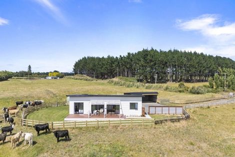 Photo of property in 1121 Parewanui Road, Parewanui, 4894