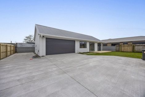 Photo of property in 43 Collins Street, Te Hapara, Gisborne, 4010