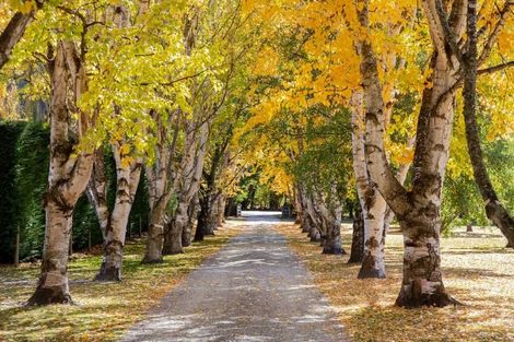 Photo of property in 76 Speargrass Flat Road, Speargrass Flat, Queenstown, 9371