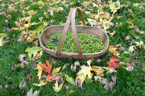 Photo of property in 46 Ruapapa Road, Frasertown, Wairoa, 4195