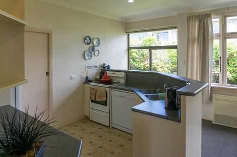 Photo of property in 21 Sheen Street, Roslyn, Dunedin, 9010