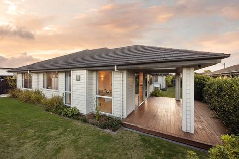 Photo of property in 64 Roy Hilton Drive, Flagstaff, Hamilton, 3210