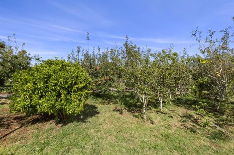 Photo of property in 11 Somerset Lane, Raglan, 3295