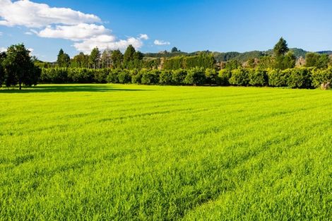 Photo of property in 54 Bruce Road, Ormond, Gisborne, 4071