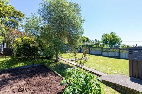 Photo of property in 19 Cuba Street, Calton Hill, Dunedin, 9012