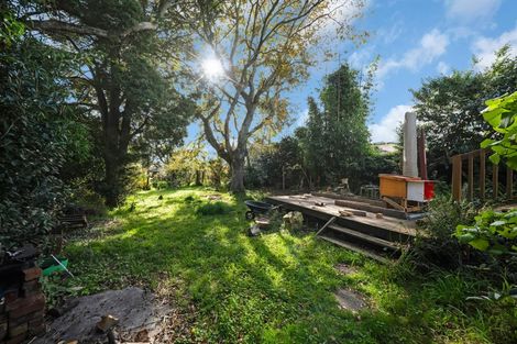 Photo of property in 117 Hutchinson Avenue, New Lynn, Auckland, 0600