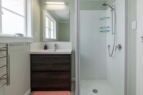 Photo of property in 22 Littlejohn Street, Hillsborough, Auckland, 1042