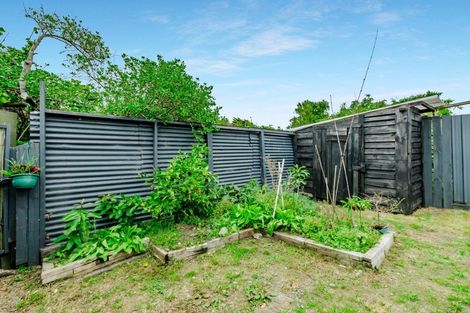 Photo of property in 14 Elizabeth Street, Waikanae, 5036