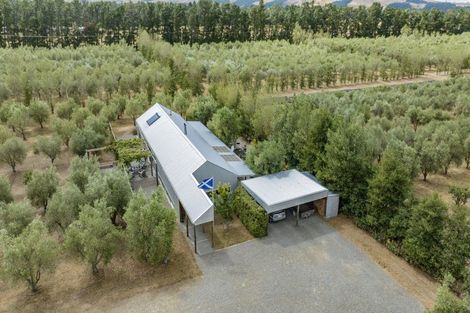 Photo of property in 179 Racecourse Road, Amberley, 7482