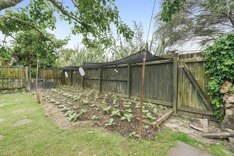 Photo of property in 50 Sare Crescent, Fairfield, Hamilton, 3214