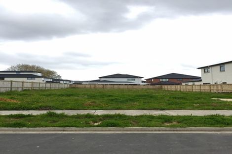 Photo of property in 29 Timmer Road, Flat Bush, Auckland, 2019
