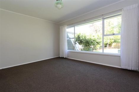 Photo of property in 12 Mcnicol Street, Fairfield, Hamilton, 3214