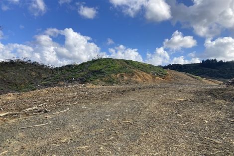 Photo of property in 1870 The 309 Road, Kaimarama, Whitianga, 3591