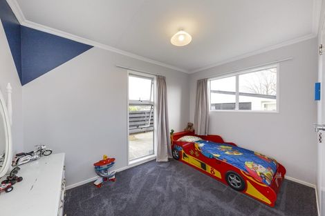 Photo of property in 141 Salisbury Street, Ashhurst, 4810