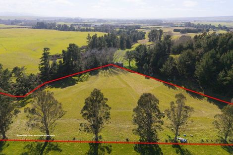Photo of property in 160 White Road, Broadlands, Reporoa, 3081