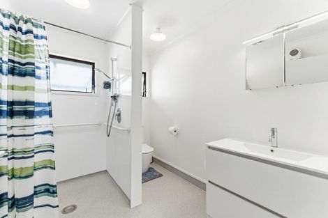 Photo of property in 8a Maire Street, Pahiatua, 4910