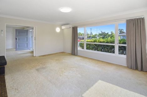 Photo of property in 31 Donny Avenue, Chartwell, Hamilton, 3210