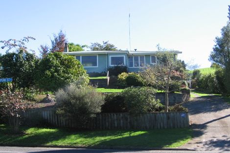 Photo of property in 173 Arapuni Street, Putaruru, 3411