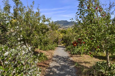 Photo of property in 11 Somerset Lane, Raglan, 3295