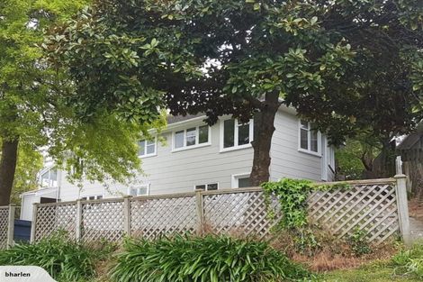 Photo of property in 895 Main Street, Roslyn, Palmerston North, 4414