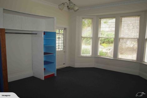 Photo of property in 217 Aro Street, Aro Valley, Wellington, 6021