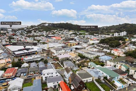 Photo of property in 19 Millward Street, Newtown, Wellington, 6021