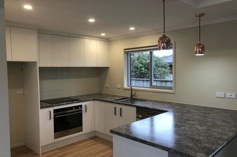 Photo of property in 56a Roy Street, Palmerston North, 4410