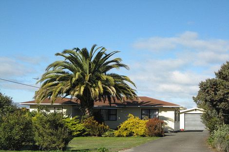 Photo of property in 16 Mount Herbert Road, Waipukurau, 4200