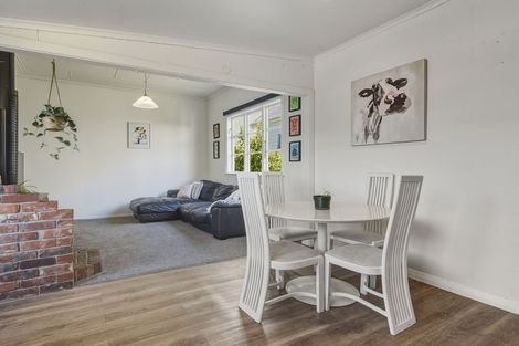 Photo of property in 47 Richmond Street, Forbury, Dunedin, 9012