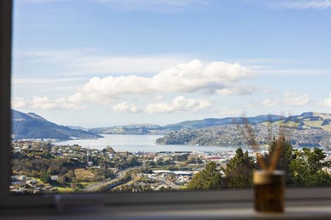 Photo of property in 42 Waimea Avenue, Calton Hill, Dunedin, 9012