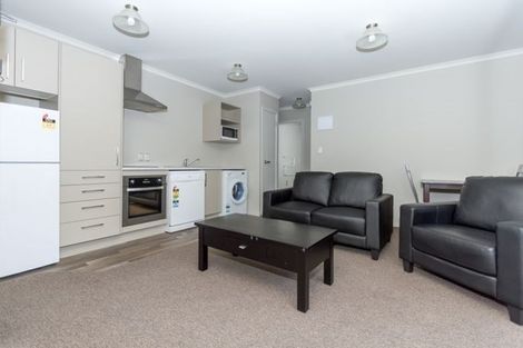 Photo of property in 58 Willoughby Street, Whitiora, Hamilton, 3200