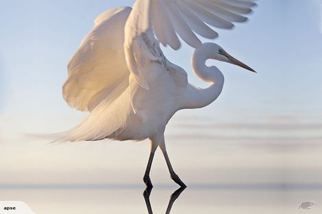 Photo of property in 109 The Strand, Okarito, Whataroa, 7886