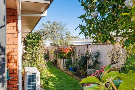 Photo of property in 24 King Street, Feilding, 4702