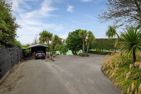 Photo of property in 45 Taylors Mistake Road, Scarborough, Christchurch, 8081