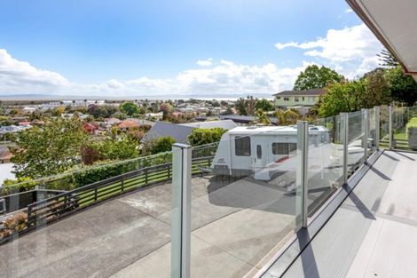 Photo of property in 111 Brunton Crescent, Thames, 3500