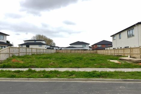 Photo of property in 29 Timmer Road, Flat Bush, Auckland, 2019