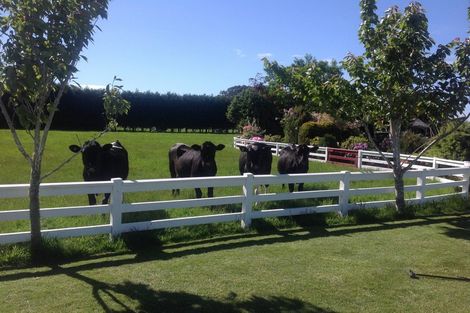 Photo of property in 227 Drysdale Road, Myross Bush, Invercargill, 9872