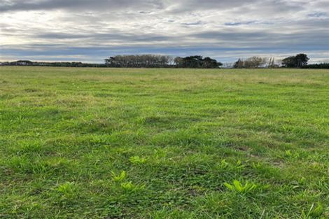 Photo of property in 145 Motuiti Road, Foxton, 4891