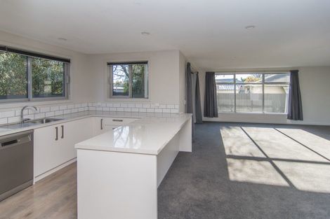 Photo of property in 221a King Street, Temuka, 7920