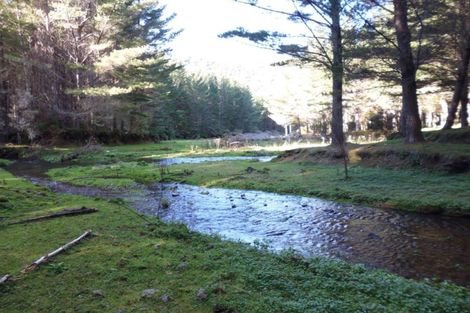Photo of property in 1677 Takaputahi Road, Toatoa, Opotiki, 3197