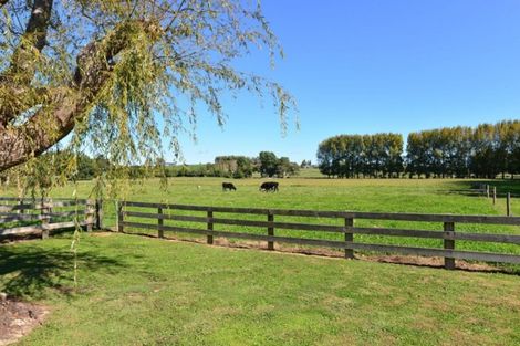 Photo of property in 21 Barrett Road, Temple View, Hamilton, 3290