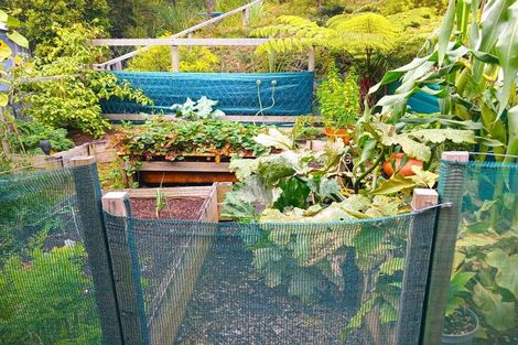 Photo of property in 475 Taemaro Road, Hihi, Mangonui, 0494