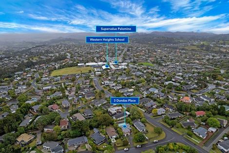 Photo of property in 3 Dundas Place, Henderson, Auckland, 0612