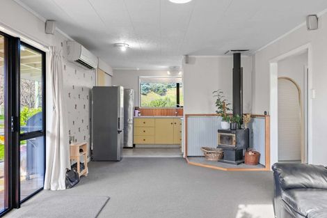 Photo of property in 40 Lyndon Street, Waiau, 7332