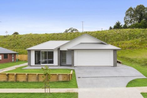 Photo of property in 47 Pakanga Grove, Pyes Pa, Tauranga, 3112