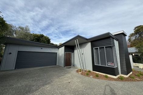 Photo of property in 48 Lucknow Road, Havelock North, 4130