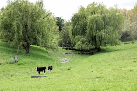 Photo of property in 52 Rosebrook Road, Claremont, Timaru, 7974