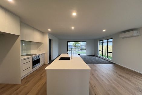 Photo of property in 20 Edlin Lane, Pegasus, 7612