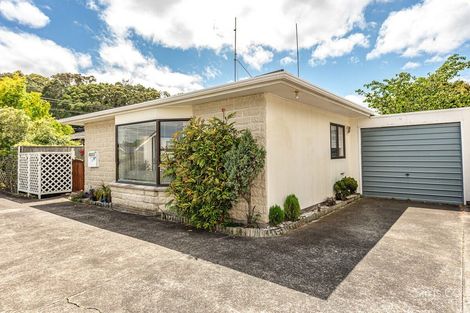 Photo of property in 19b Fergusson Street, Springvale, Whanganui, 4501